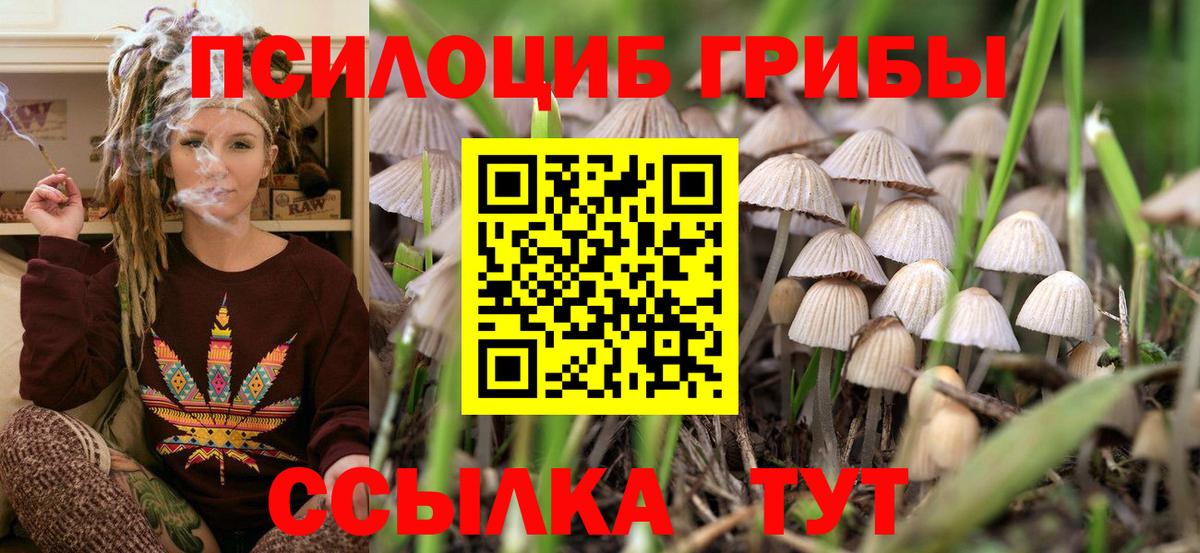 Кировск  Псилоцибиновые грибы мухоморы  Вход с VPN 