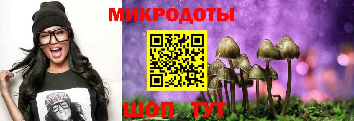 Галлюциногенные грибы Magic Shrooms Кировск
